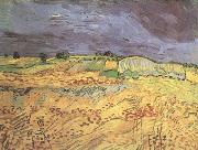 Vincent Van Gogh The Fields (nn04) oil painting reproduction